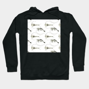 Triops and Prawn Hoodie